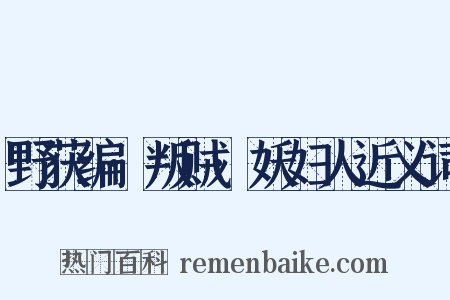 野获编·叛贼·妖妇人近义词是什么意思的图片